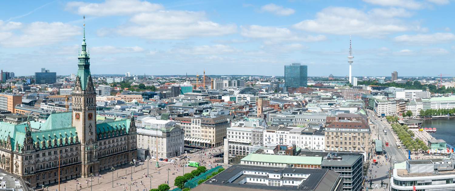 Hamburg Panorama Hamburger Rathaus und Innenstadt